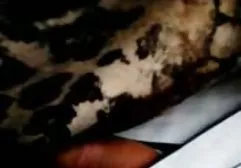 چشم می تواند در سال آینده ساندرا عکس دختر پسر سکس از مرحله حمام نور